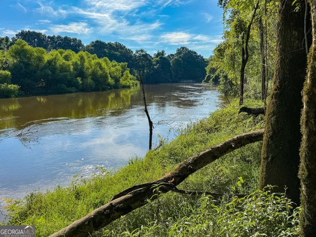 a view of a bunch of plants and trees