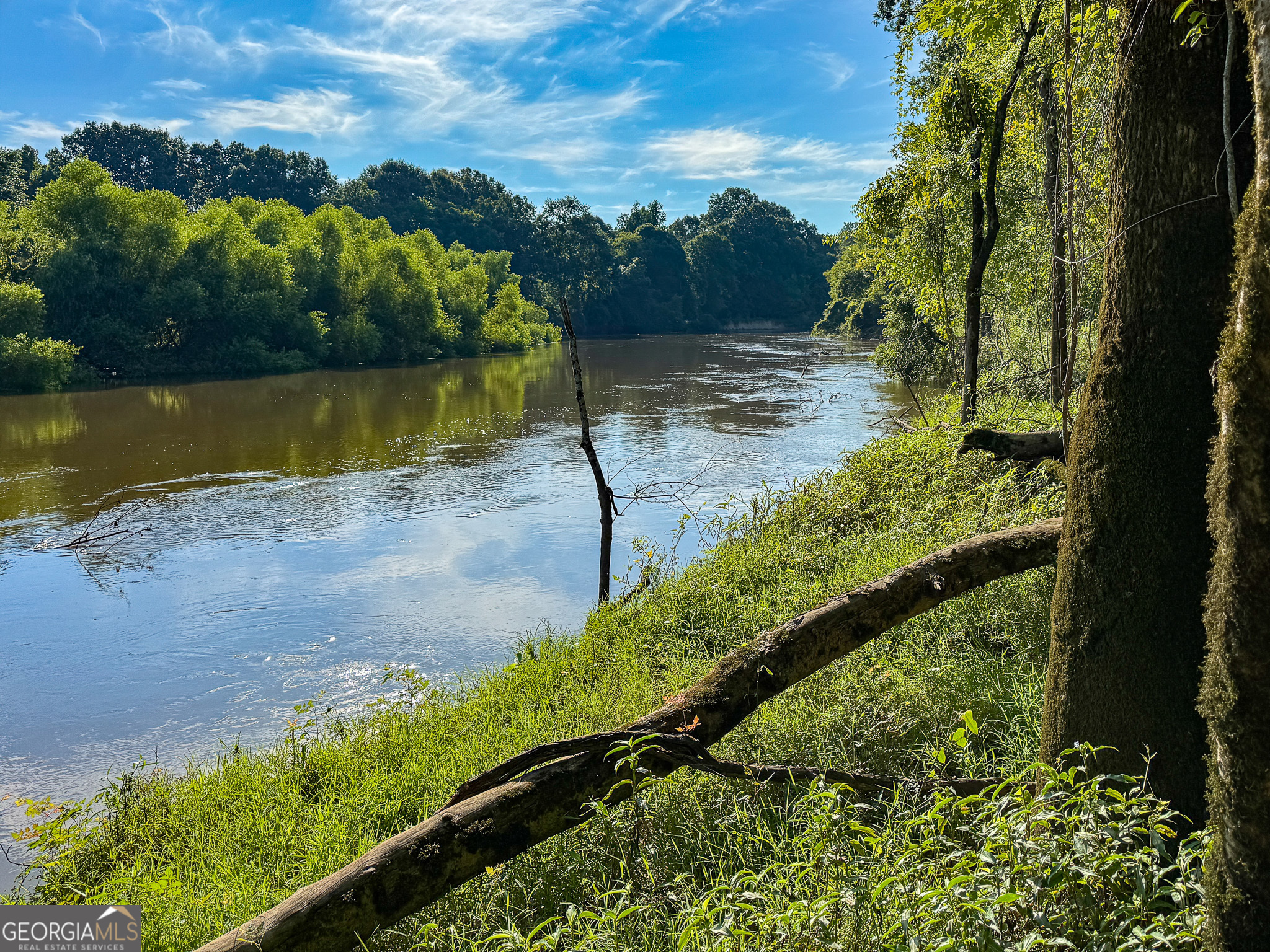 583 Treisch Road Pineview, GA 31071 - Photo 48 of 53 a view of a lake with a yard