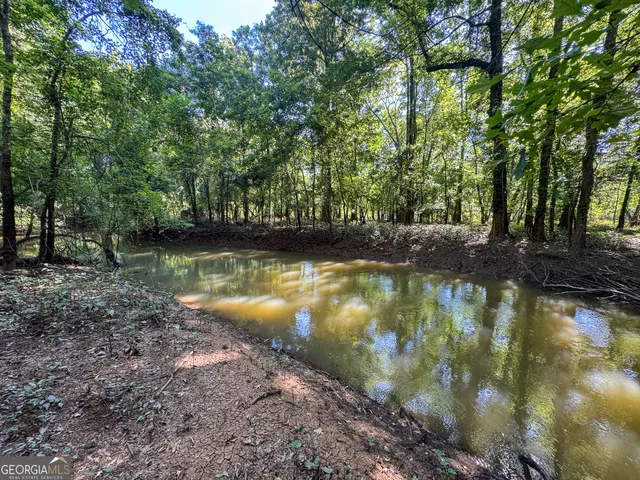 $1,509,000 | 583 Treisch Road, Pineview, GA 31071