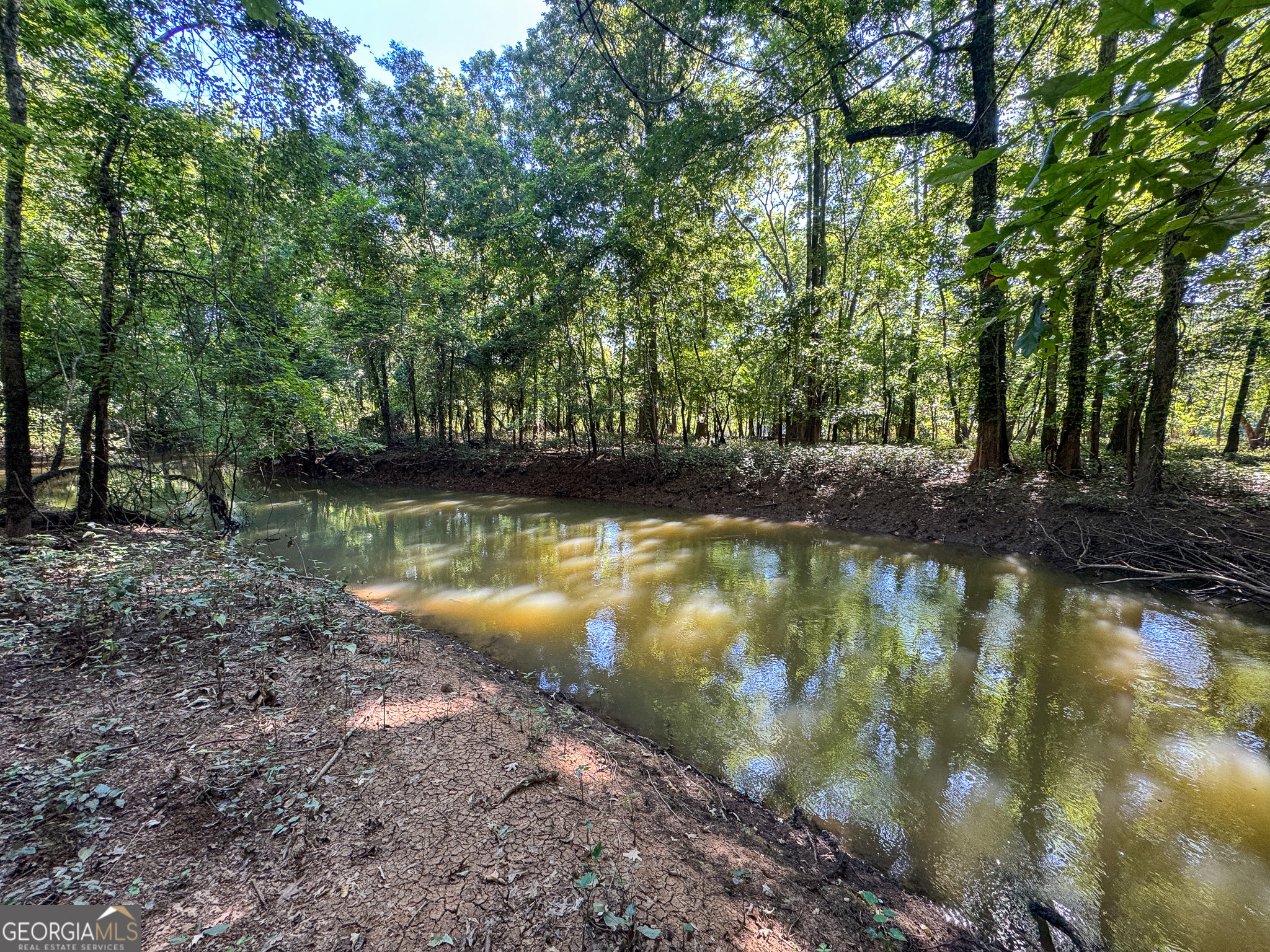 583 Treisch Road Pineview, GA 31071 - Photo 49 of 53 a view of a lake view