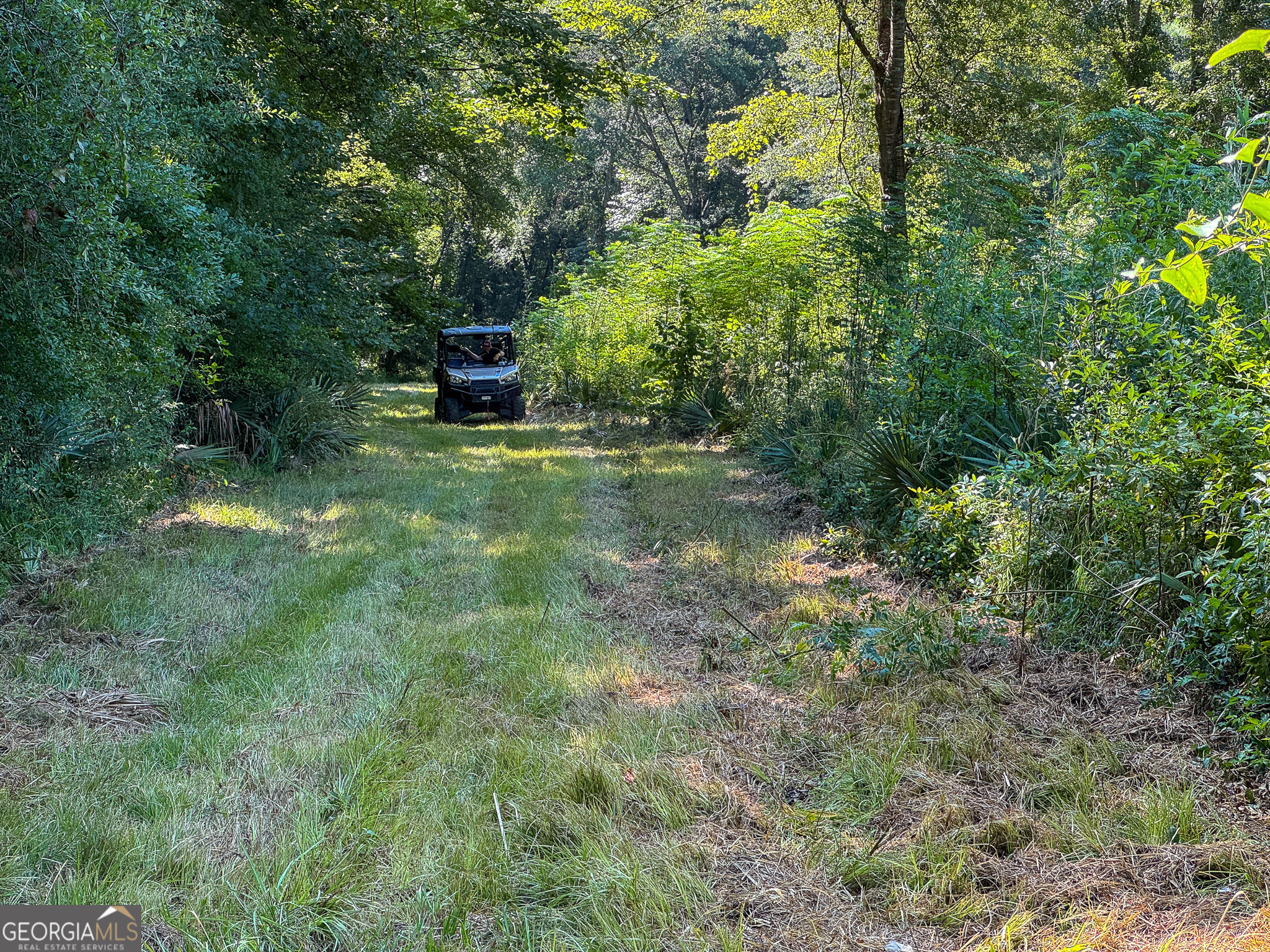 583 Treisch Road Pineview, GA 31071 - Photo 50 of 53 a view of a garden with large trees