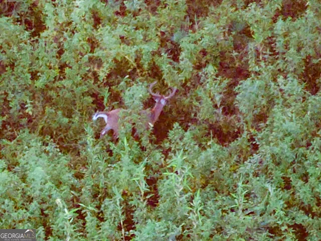 a view of a garden with a slide