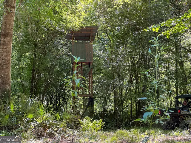 $1,509,000 | 583 Treisch Road, Pineview, GA 31071