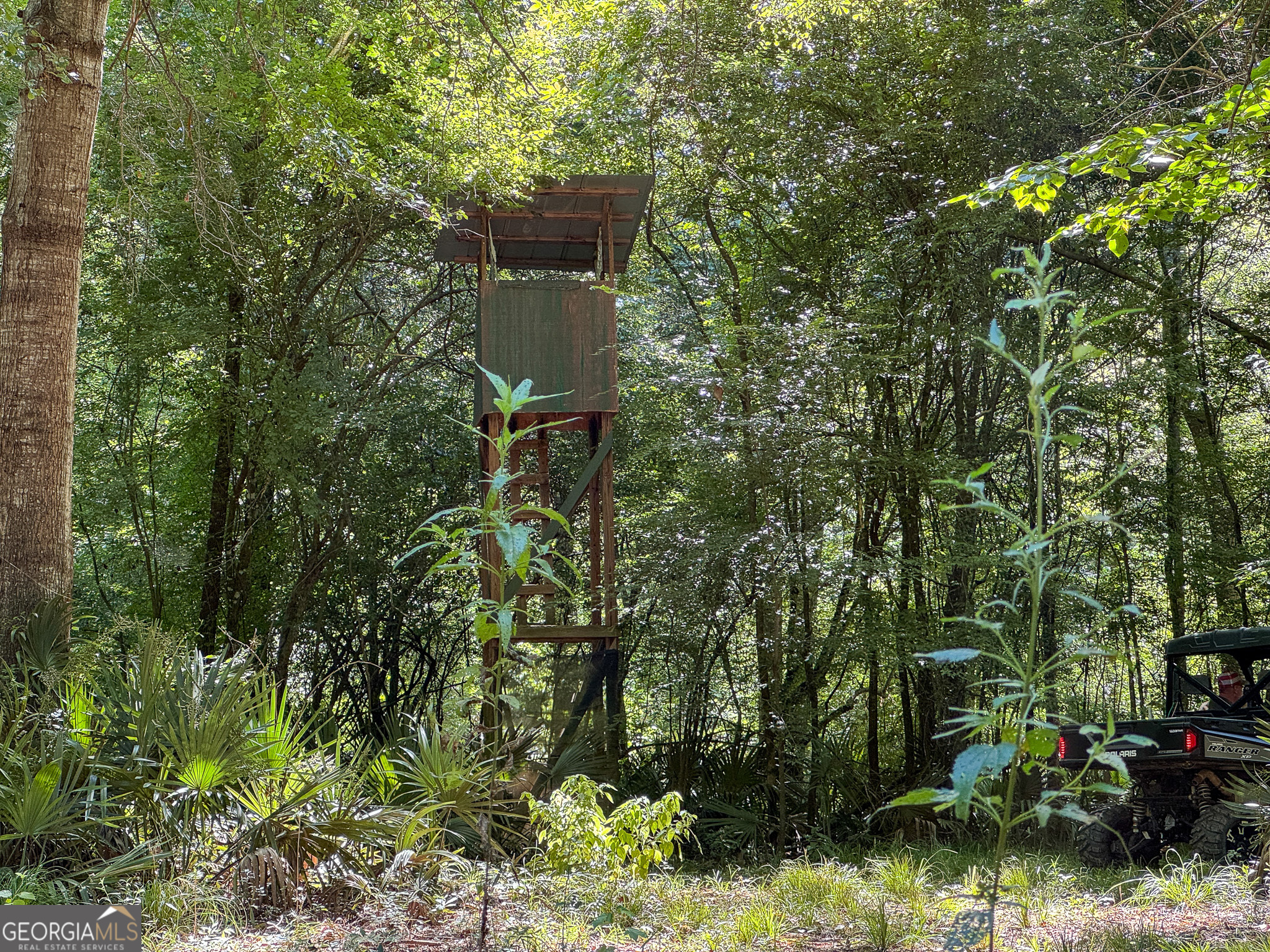 583 Treisch Road Pineview, GA 31071 - Photo 51 of 53 a view of a yard