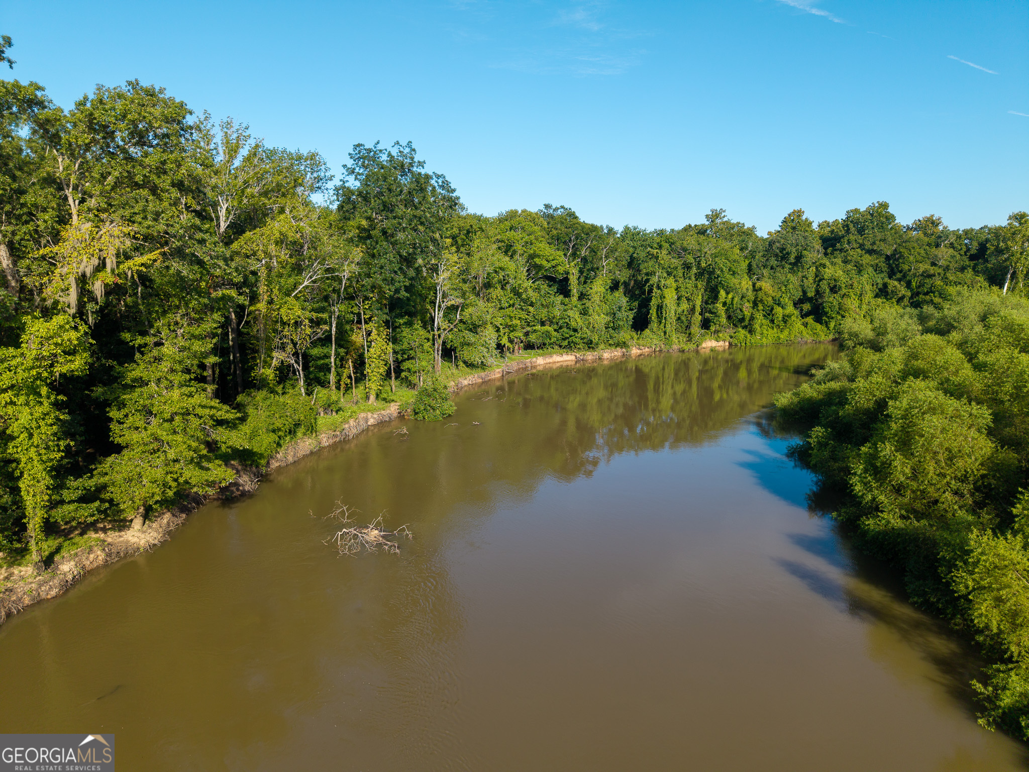 583 Treisch Road Pineview, GA 31071 - Photo 6 of 53 a view of a lake with houses in background
