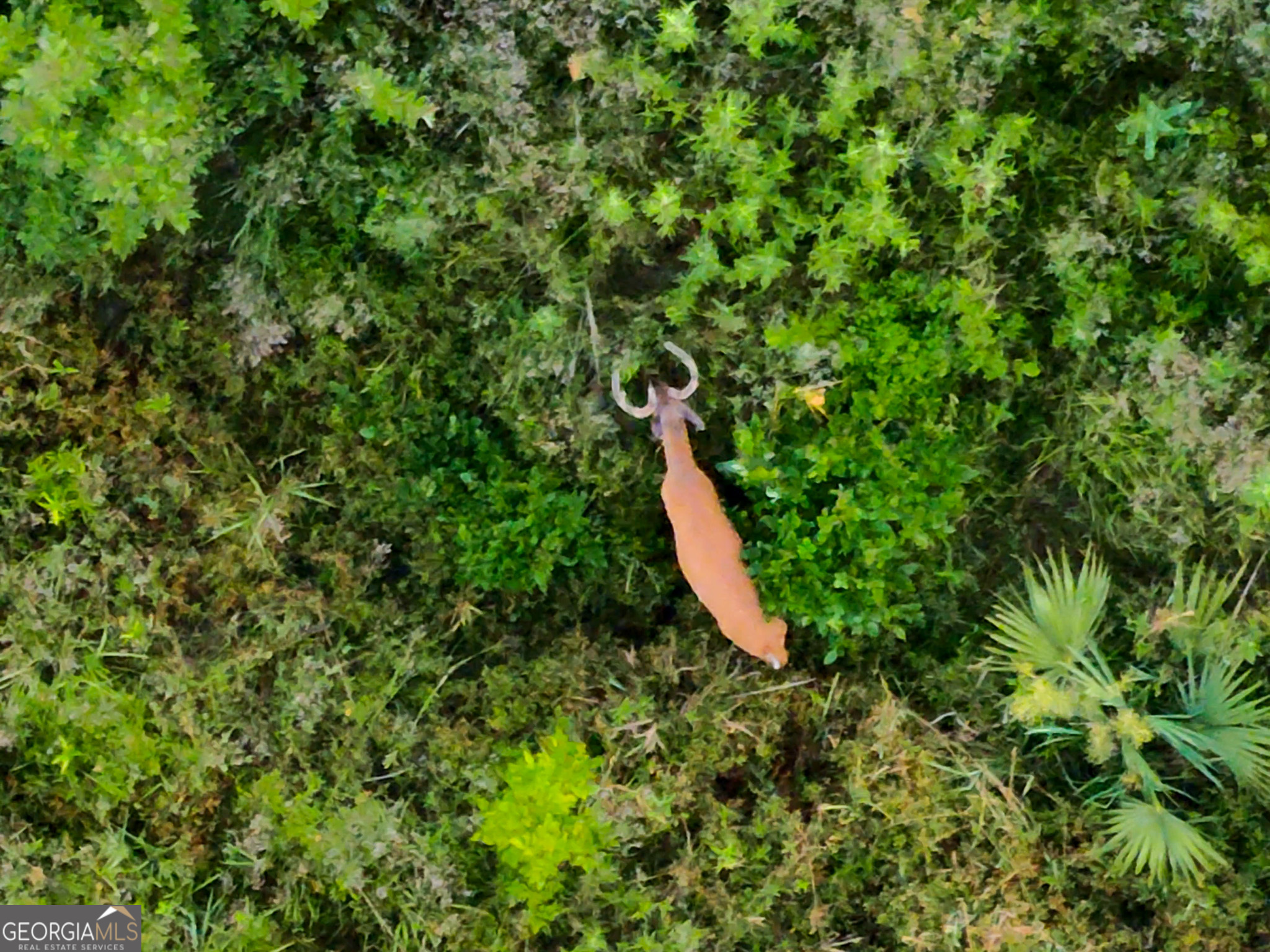 583 Treisch Road Pineview, GA 31071 - Photo 7 of 53 a view of a garden with a slide
