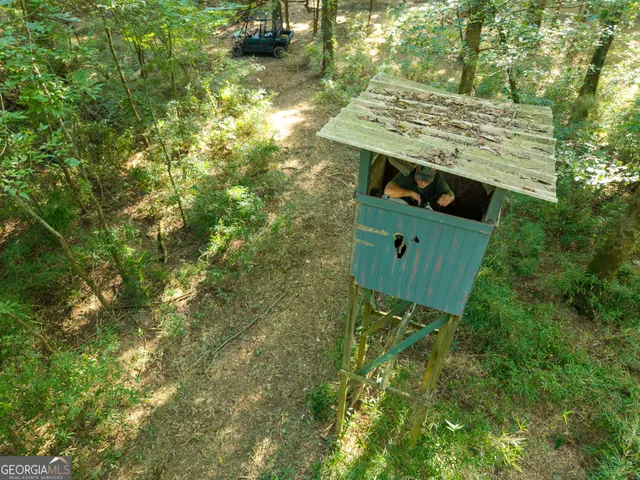 a big yard with lots of green space and trees