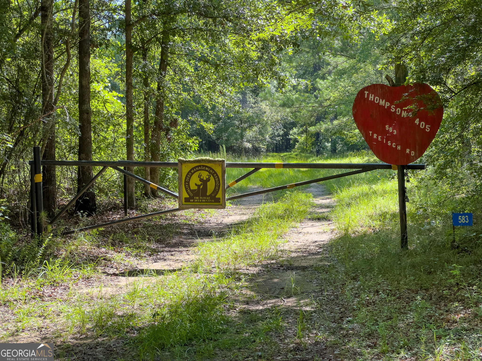 583 Treisch Road Pineview, GA 31071 - Photo 9 of 53 a view of a park with large trees