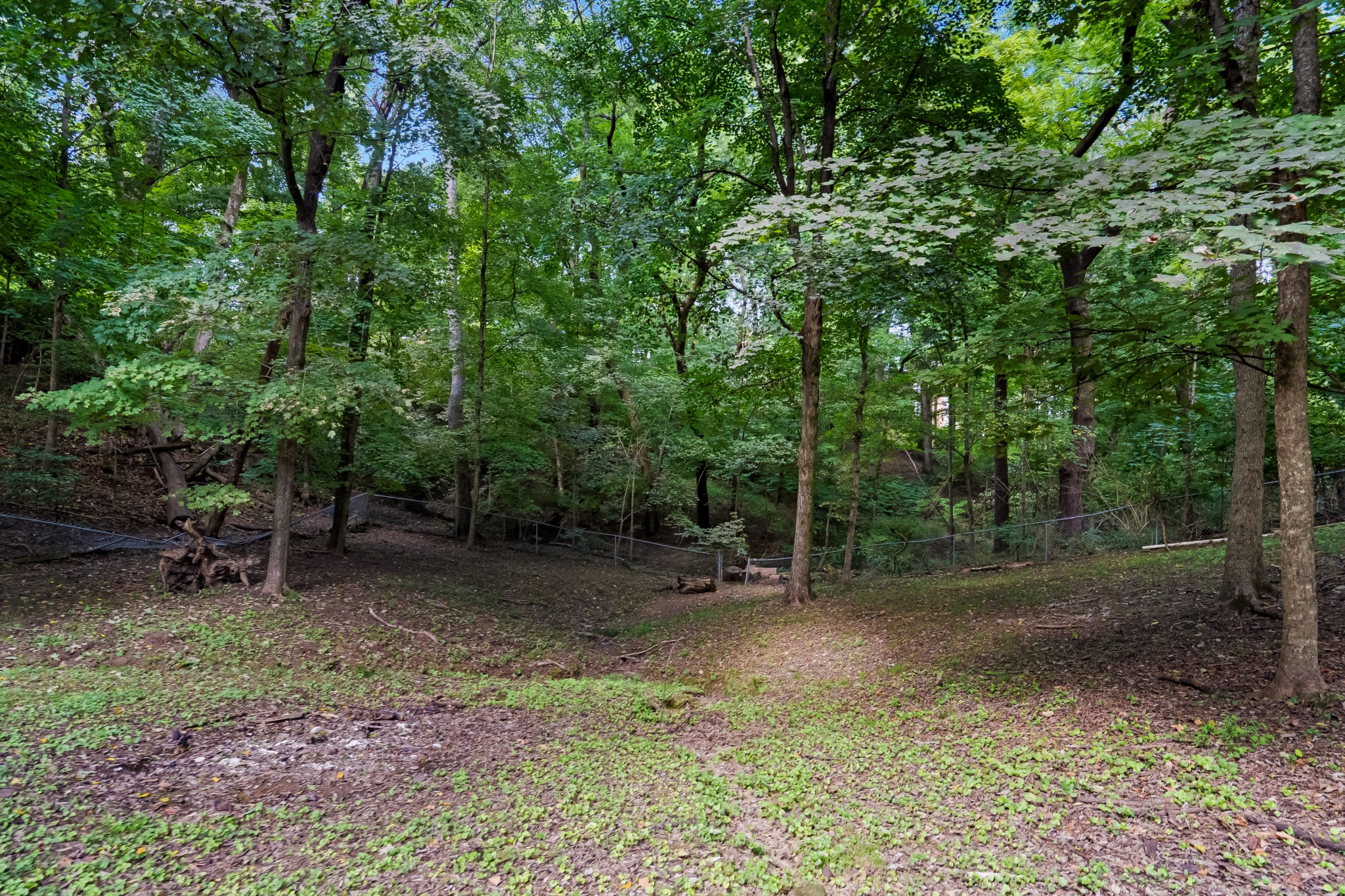237 Green Harbor Road Old Hickory, TN 37138 - Photo 35 of 38 Gallery Image 35
