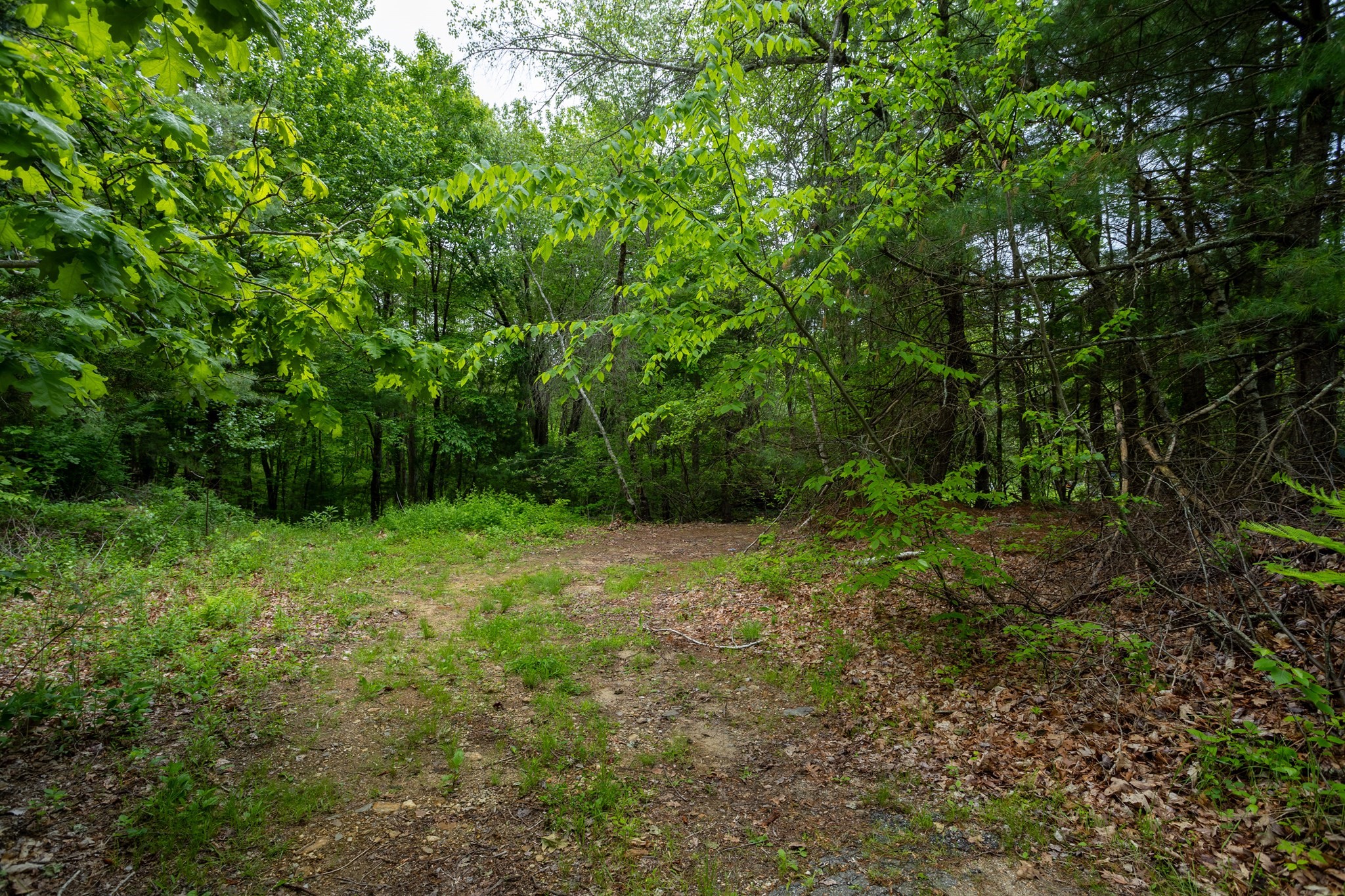 0 Bullard Road Oakham, MA 01068 - Photo 20 of 32 Gallery Image 20