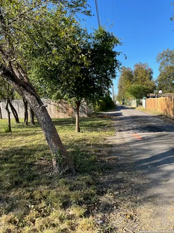 a view of a yard with a tree