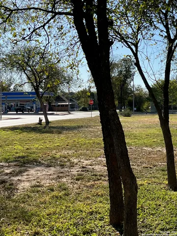 a view of a yard with trees