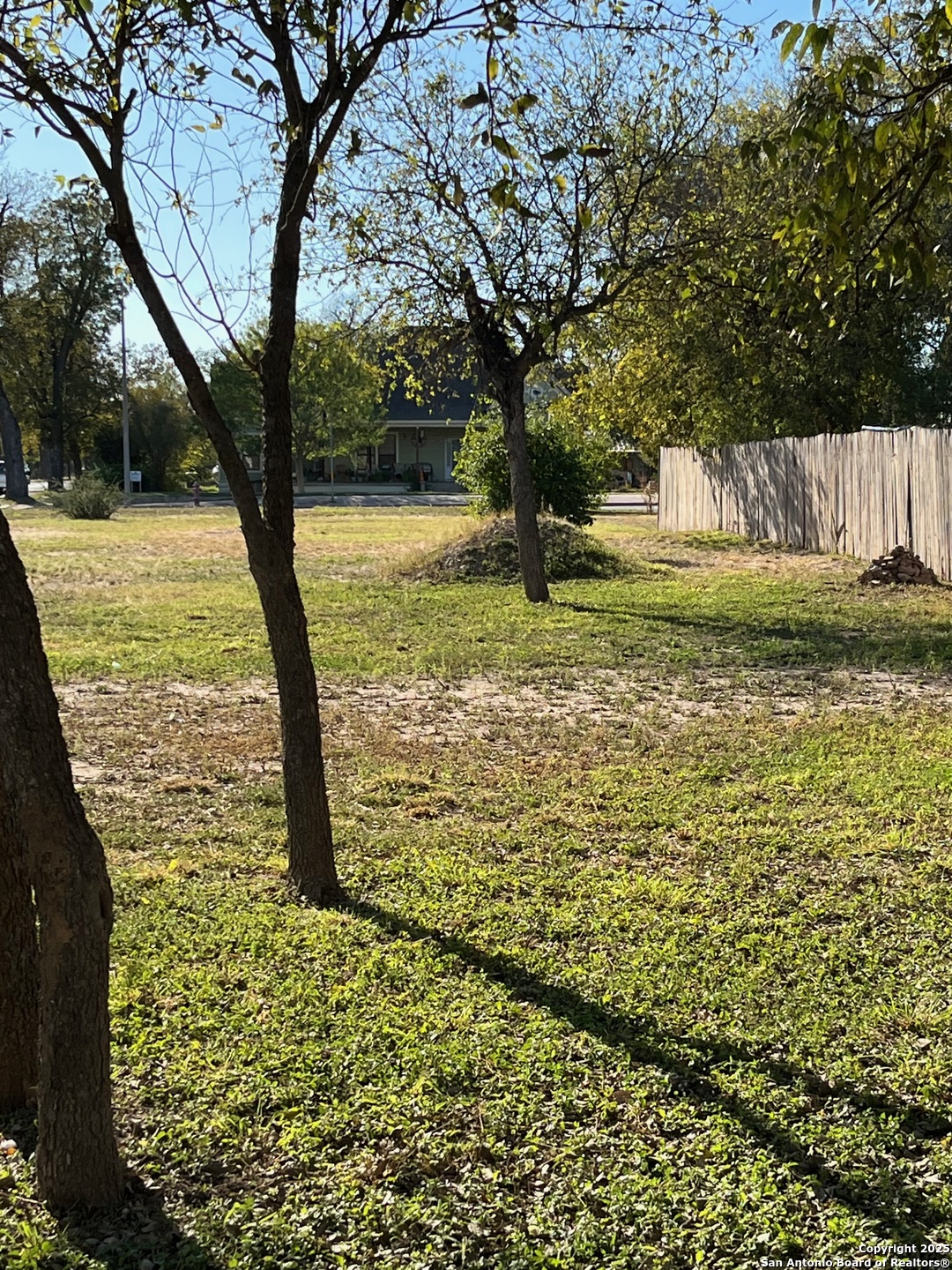 328 South Getty Street Uvalde, TX 78801 - Photo 8 of 12 a view of a yard with trees