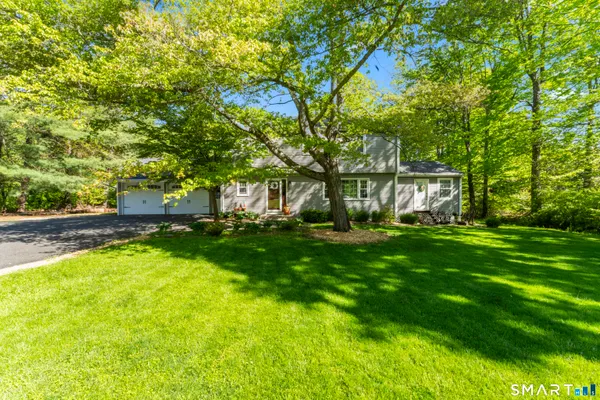 a view of a backyard with large trees