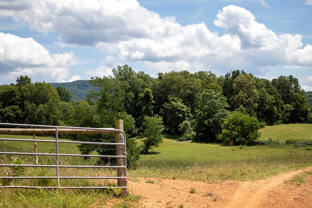0 Frank Sims Road Sparta, TN 38583 - Photo 25 of 34 Gallery Image 25