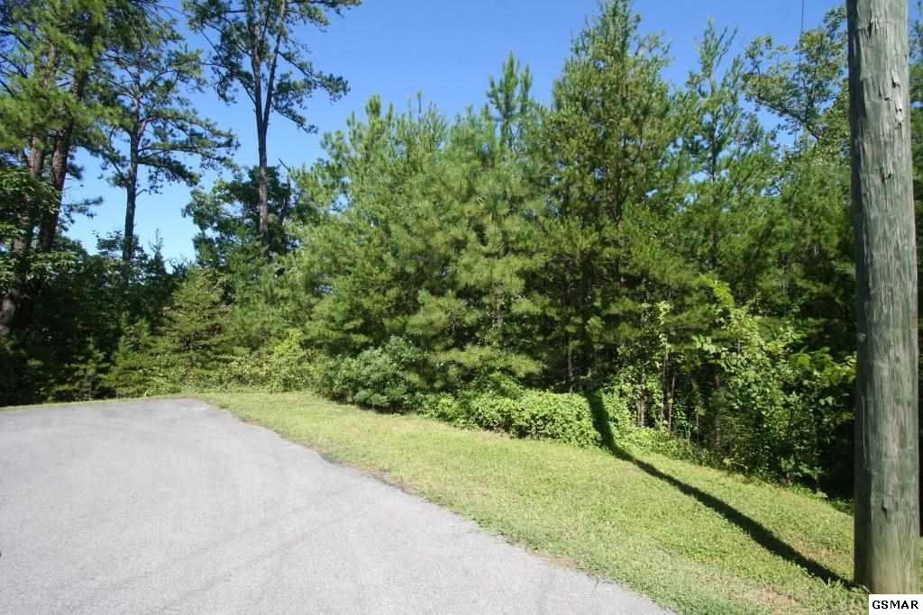 1615 Dove Wing Way Sevierville, TN 37862 - Photo 4 of 6