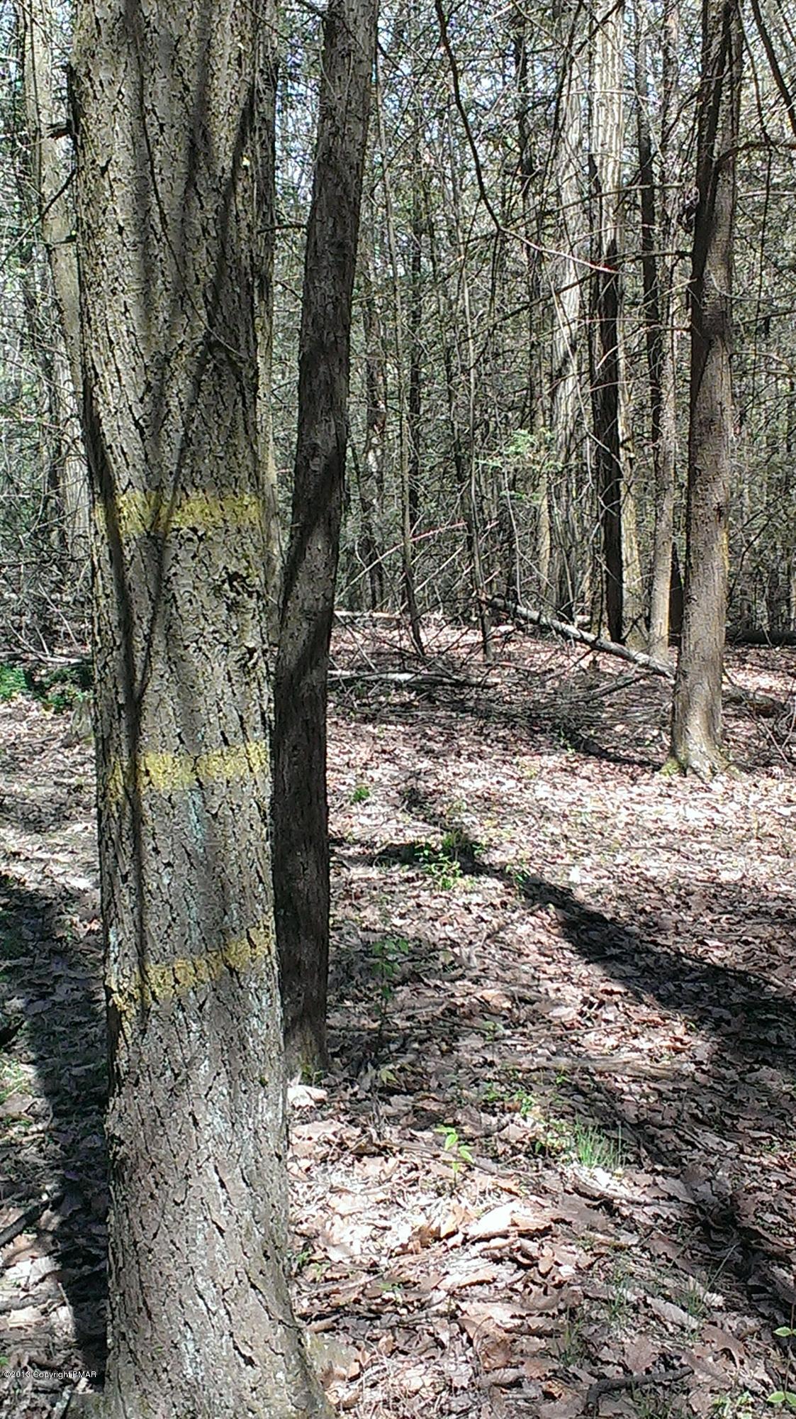 359 T 359 Correll Road Kunkletown, PA 18058 - Photo 24 of 34 IMAG0848