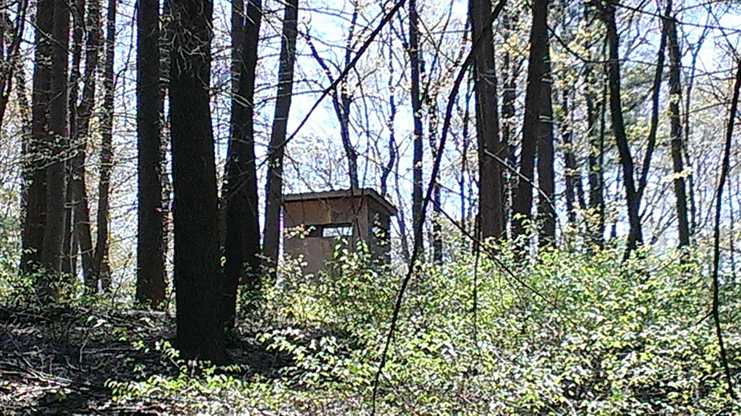 359 T 359 Correll Road Kunkletown, PA 18058 - Photo 25 of 34 IMAG0849