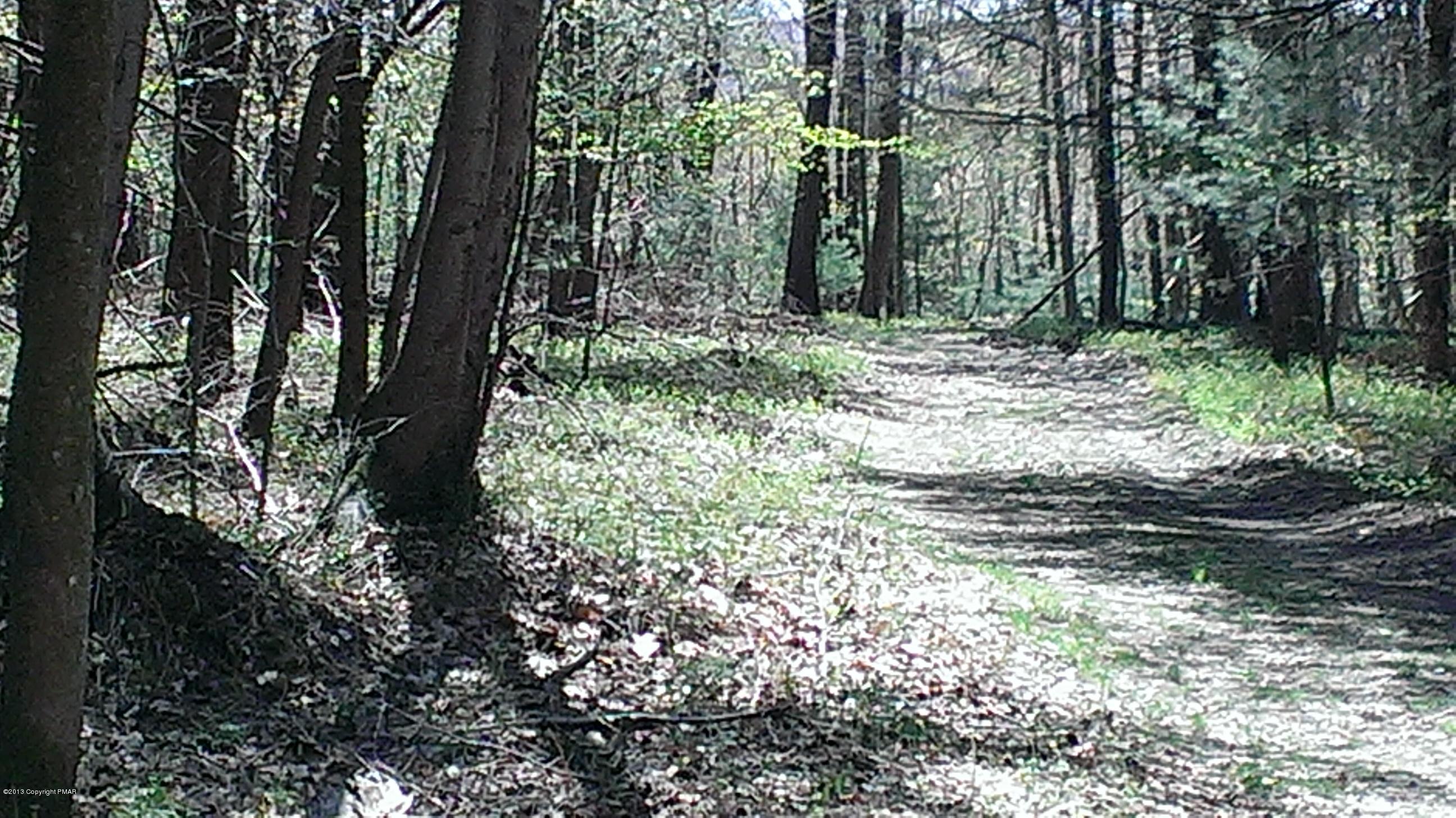 359 T 359 Correll Road Kunkletown, PA 18058 - Photo 29 of 34 IMAG0853