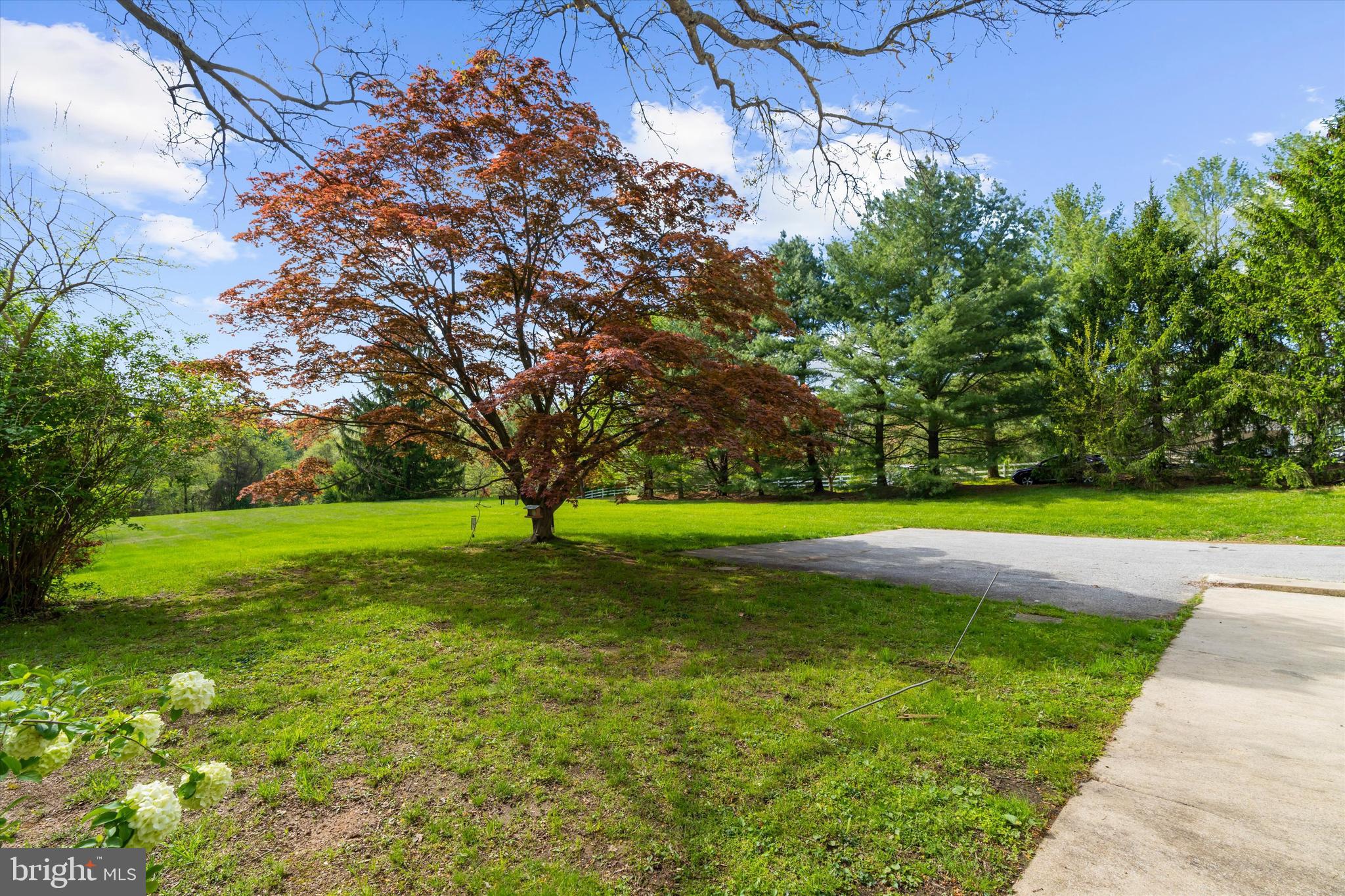 14620 Manor Road Phoenix, MD 21131 - Photo 28 of 44 View of Backyard