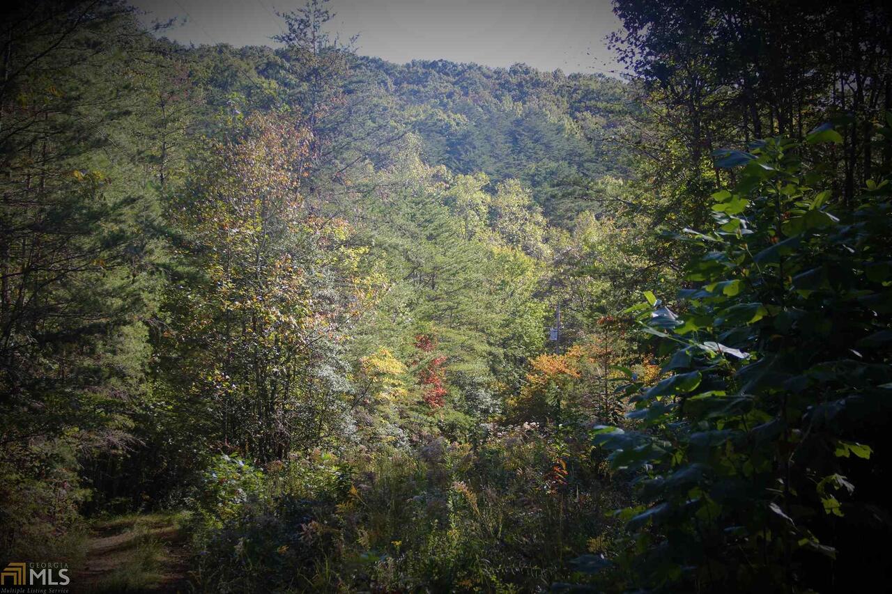 0 Shadow Lane Blue Ridge, GA 30513 - Photo 1 of 1