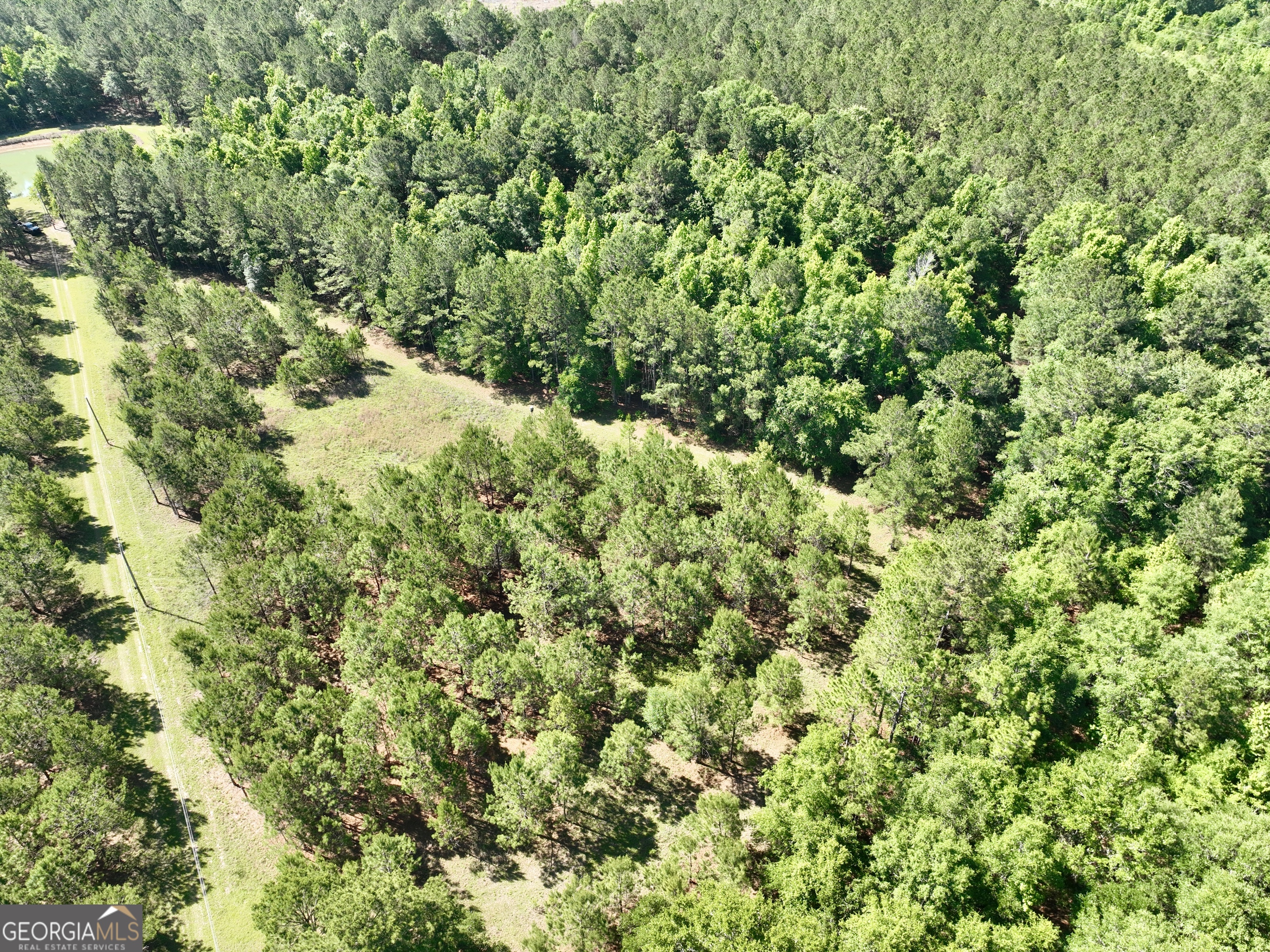 769 Mt Olive Church Road Eastman, GA 31023 - Photo 24 of 68