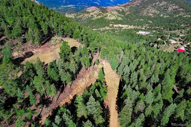 a view of a garden with a lake