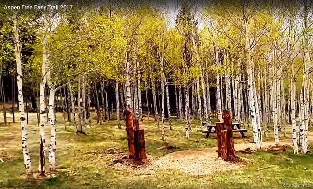 a view of outdoor space with trees