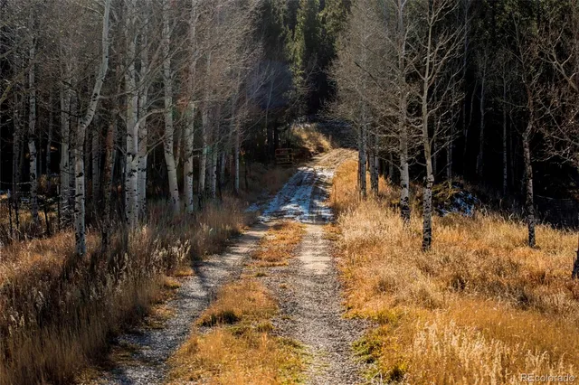 a view of swimming pool of water with trees