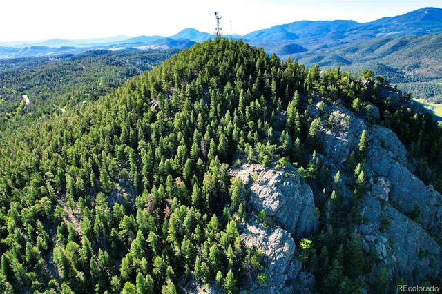a view of a lush green forest