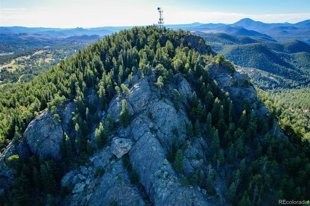 a view of a garden with a building
