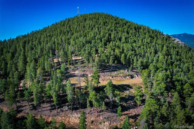 a view of a garden with a lake