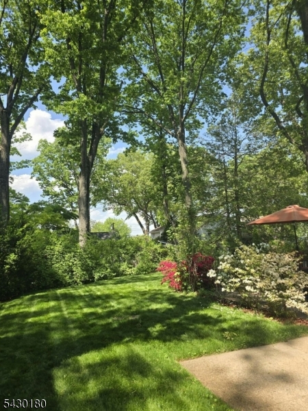 56 Highwood Road Denville, NJ 07834 - Photo 30 of 36