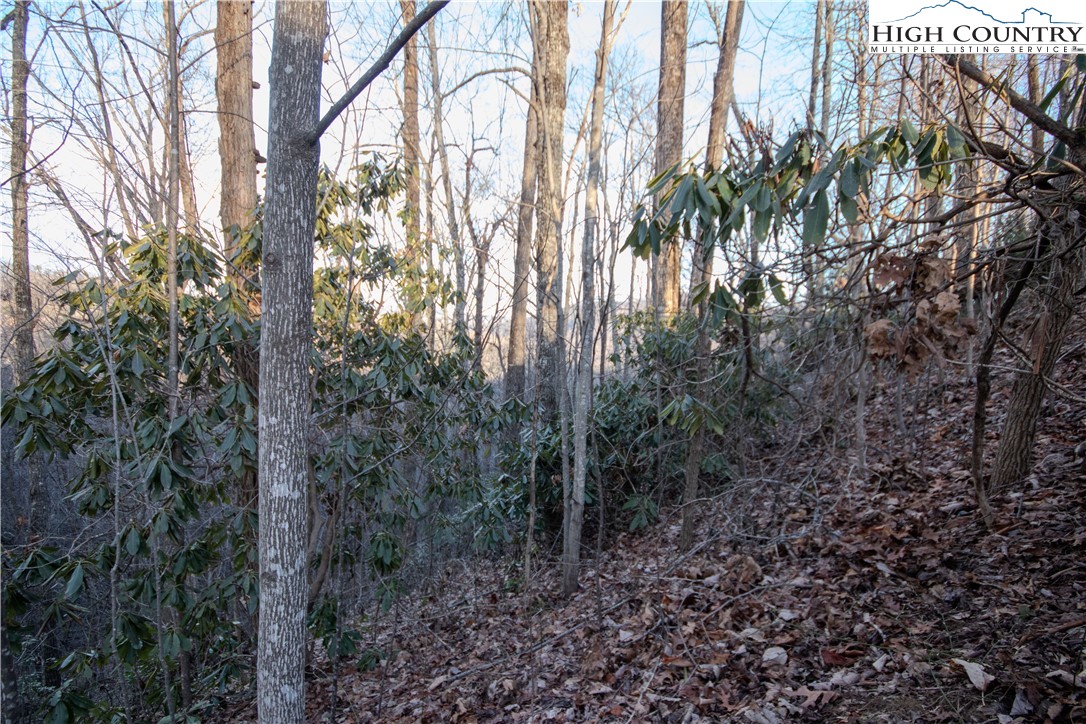 Lot#22 Autumn Ridge Lenoir, NC 28645 - Photo 11 of 38