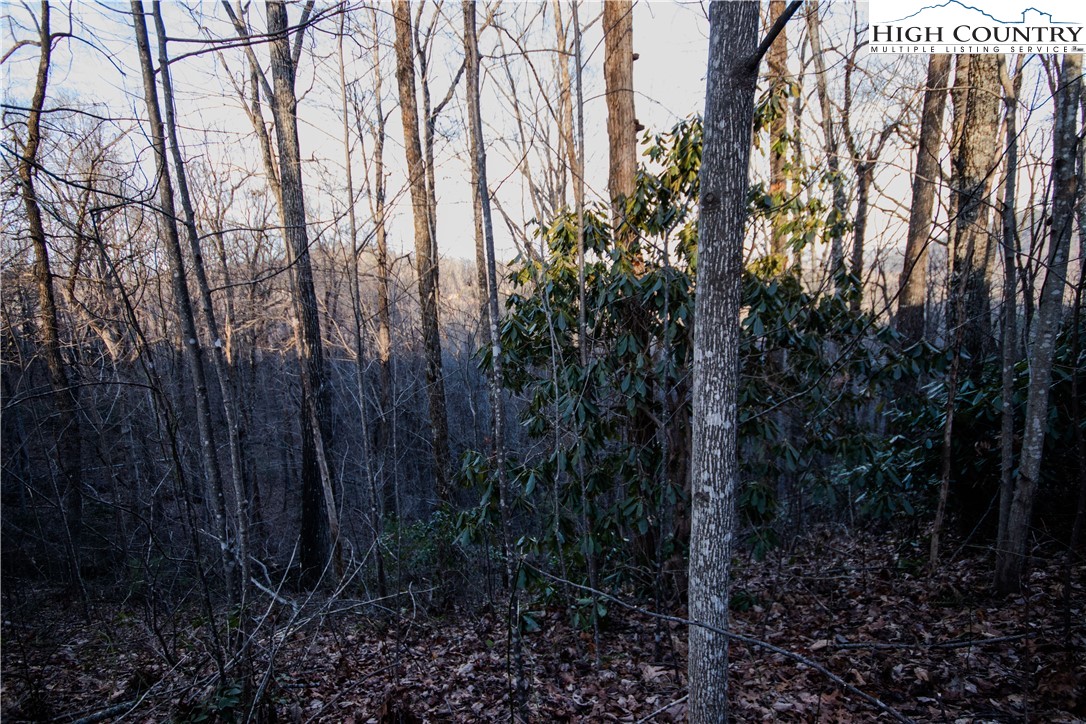 Lot#22 Autumn Ridge Lenoir, NC 28645 - Photo 12 of 38