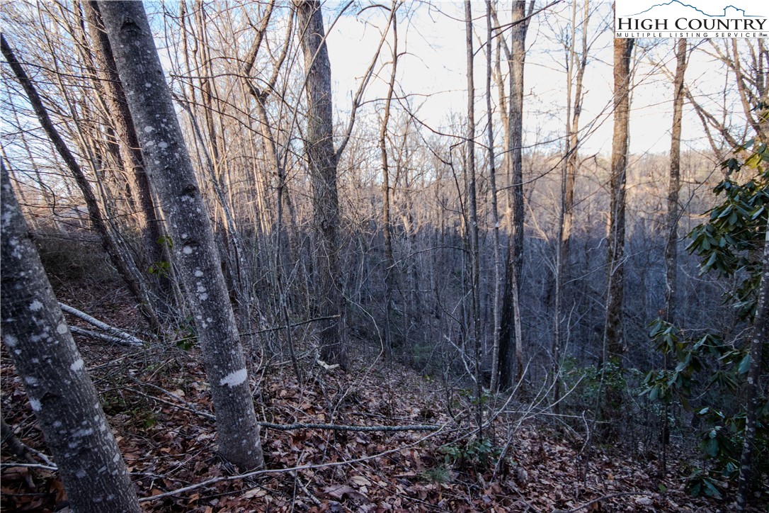 Lot#22 Autumn Ridge Lenoir, NC 28645 - Photo 13 of 38