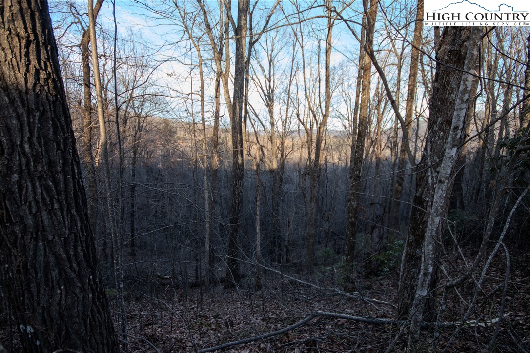 Lot#22 Autumn Ridge Lenoir, NC 28645 - Photo 15 of 38