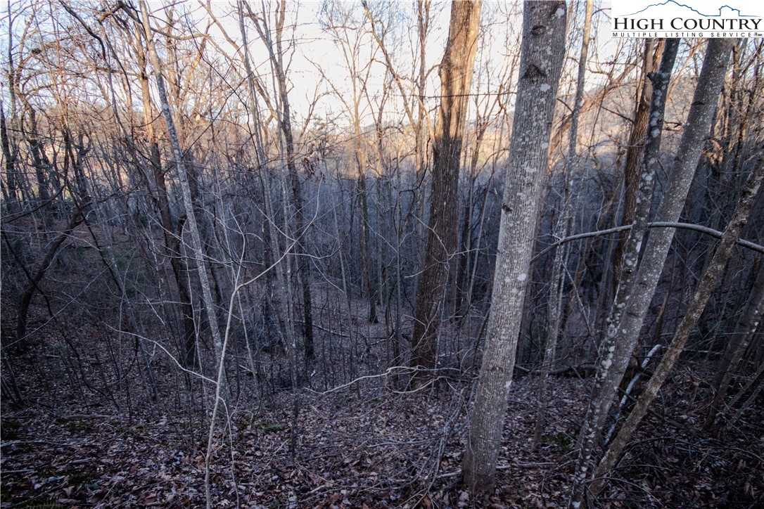 Lot#22 Autumn Ridge Lenoir, NC 28645 - Photo 19 of 38