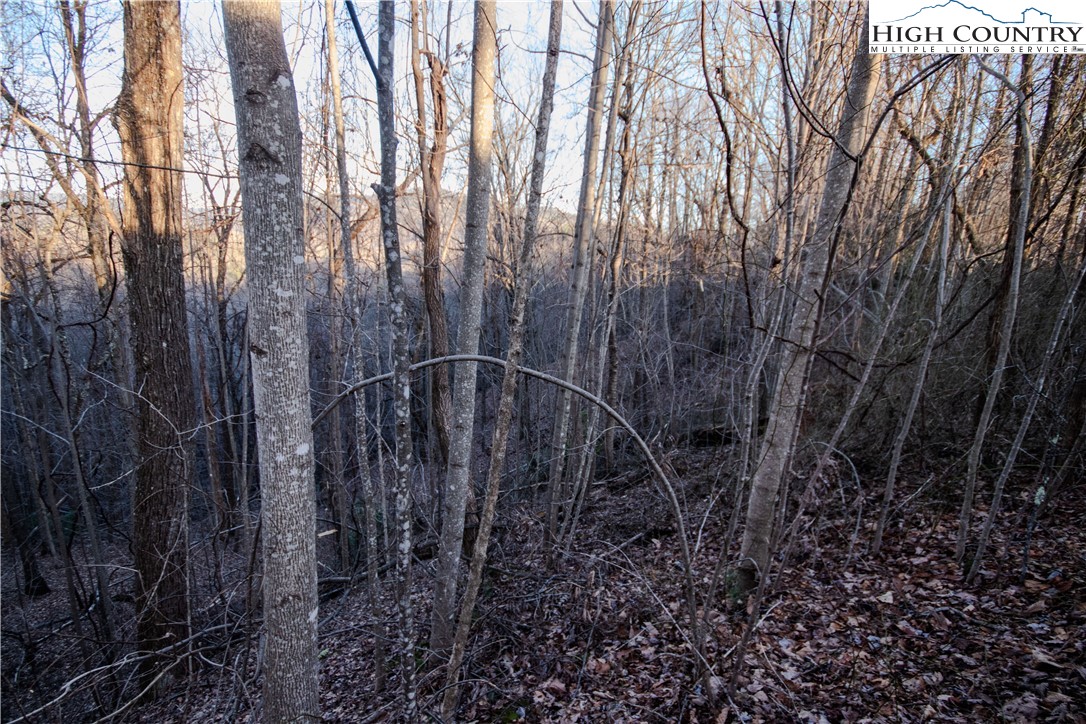 Lot#22 Autumn Ridge Lenoir, NC 28645 - Photo 20 of 38