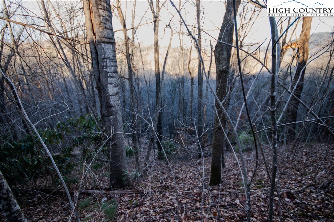 Lot#22 Autumn Ridge Lenoir, NC 28645 - Photo 2 of 38