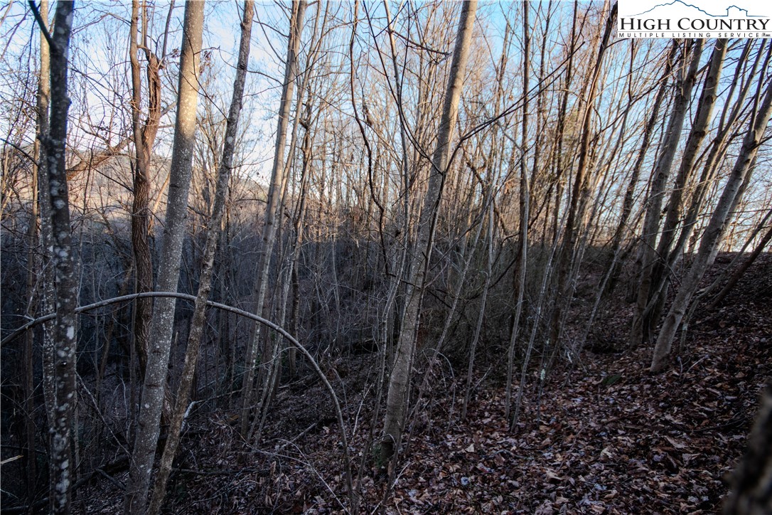 Lot#22 Autumn Ridge Lenoir, NC 28645 - Photo 21 of 38