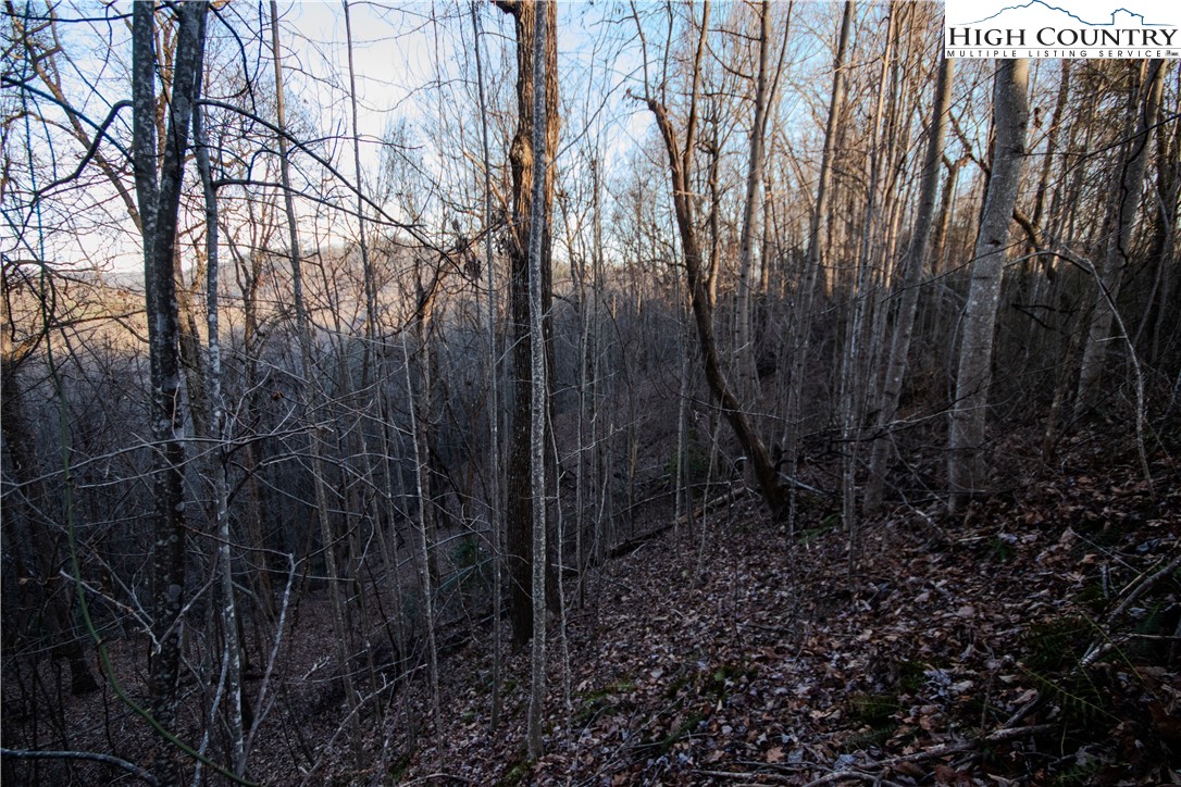 Lot#22 Autumn Ridge Lenoir, NC 28645 - Photo 22 of 38