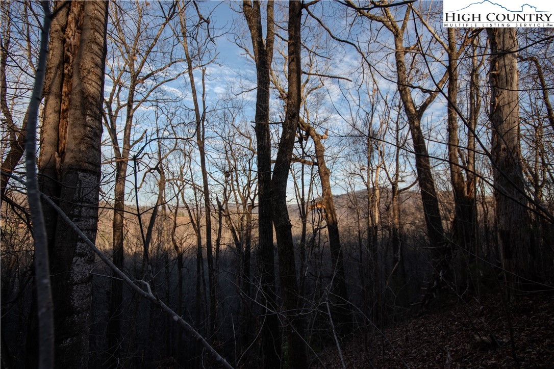 Lot#22 Autumn Ridge Lenoir, NC 28645 - Photo 4 of 38