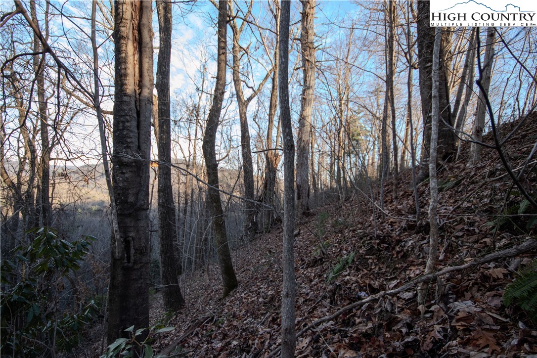 Lot#22 Autumn Ridge Lenoir, NC 28645 - Photo 5 of 38