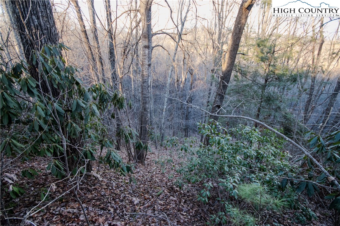 Lot#22 Autumn Ridge Lenoir, NC 28645 - Photo 7 of 38