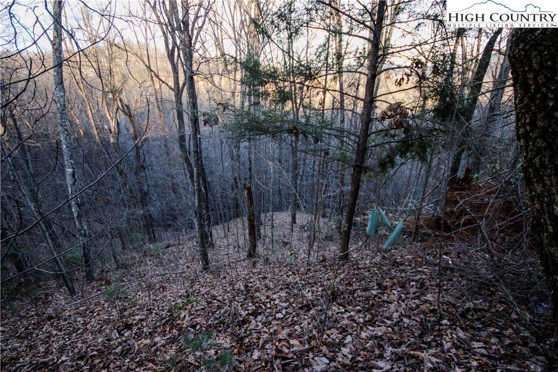 Lot#22 Autumn Ridge Lenoir, NC 28645 - Photo 8 of 38