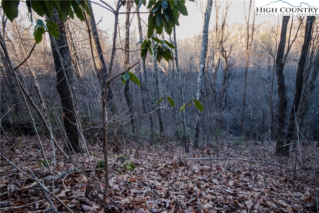 Lot#22 Autumn Ridge Lenoir, NC 28645 - Photo 10 of 38