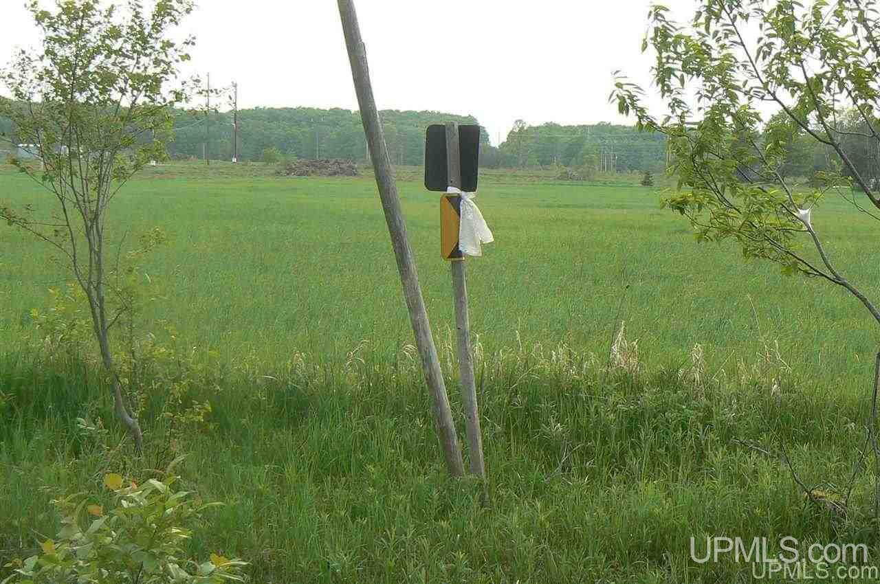 Tbd Benson 53 Acres Road Chatham, MI 49816 - Photo 10 of 10