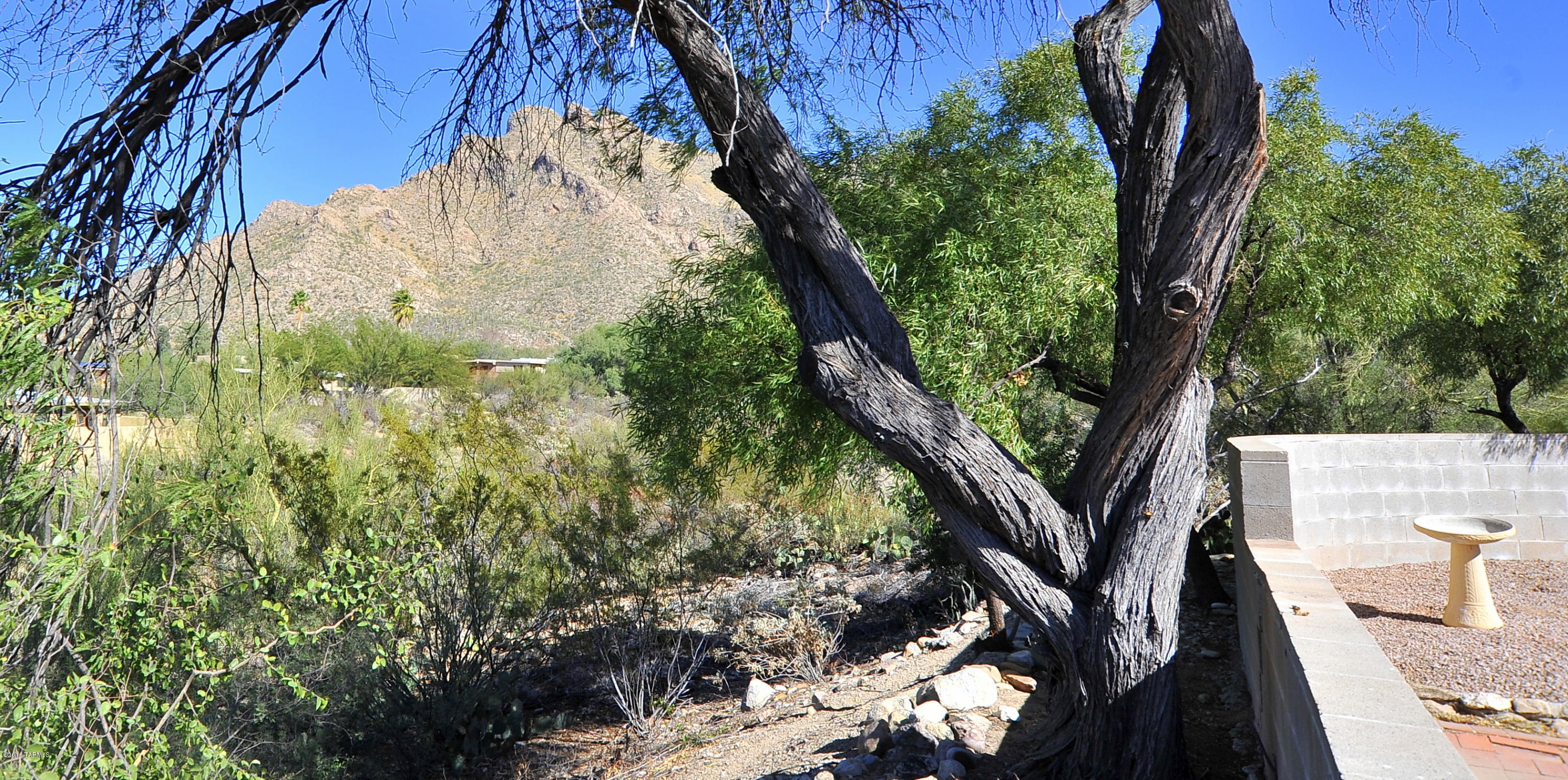 585 Rimrock Place Tucson, AZ 85704 - Photo 47 of 50 Gallery Image 47