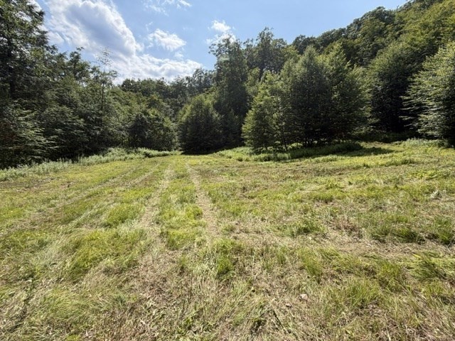 0 Zoar Road Rowe, MA 01367 - Photo 1 of 25 Gallery Image 1